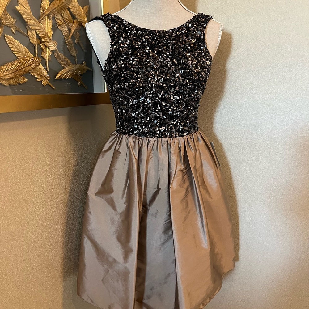 NWT Adrianna Papell Sequin Bodice Dress Size 4